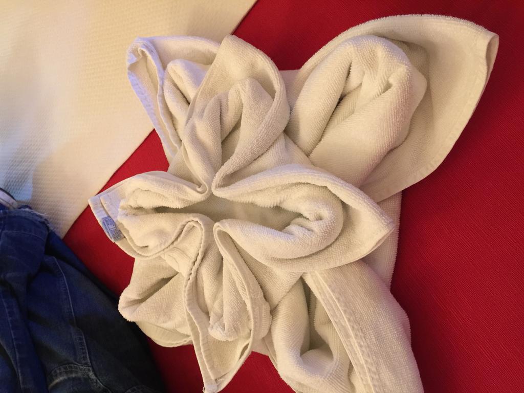 Delovely Hotel 블랙풀 객실 사진